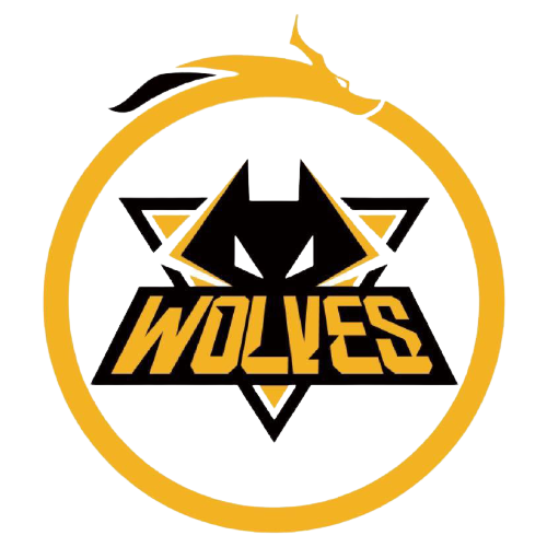 足球注入新 足球注入新