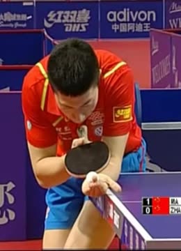 整个联盟格 整个联盟格